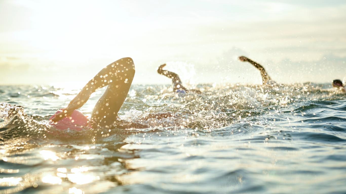 CHAMPIONS RATE 🏆 Coral Princess Hotel & Dive Resort  Cozumel CHAMPIONS RATE 🏆 Coral Princess Hotel & Dive Resort  Cozumel