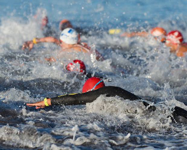 Sporting competitions Coral Princess Hotel & Dive Resort Hotel Cozumel Sporting competitions Coral Princess Hotel & Dive Resort Hotel Cozumel