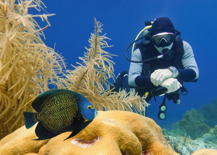 Naturaleza Coral Princess Hotel & Dive Resort Cozumel Naturaleza Coral Princess Hotel & Dive Resort Cozumel