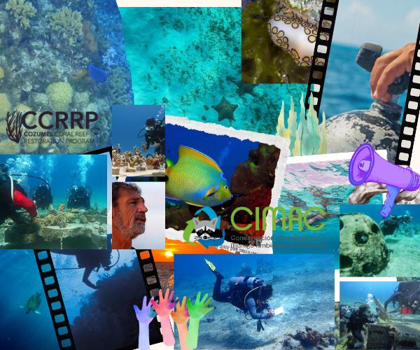 Buceo con Causa: Programas de Buceo de Voluntariado en Cozumel Coral Princess Hotel & Dive Resort Buceo con Causa: Programas de Buceo de Voluntariado en Cozumel Coral Princess Hotel & Dive Resort