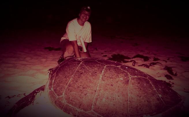 Sea Turtle Nesting Season in Cozumel: A Natural Wonder Worth Protecting Coral Princess Hotel & Dive Resort Sea Turtle Nesting Season in Cozumel: A Natural Wonder Worth Protecting Coral Princess Hotel & Dive Resort