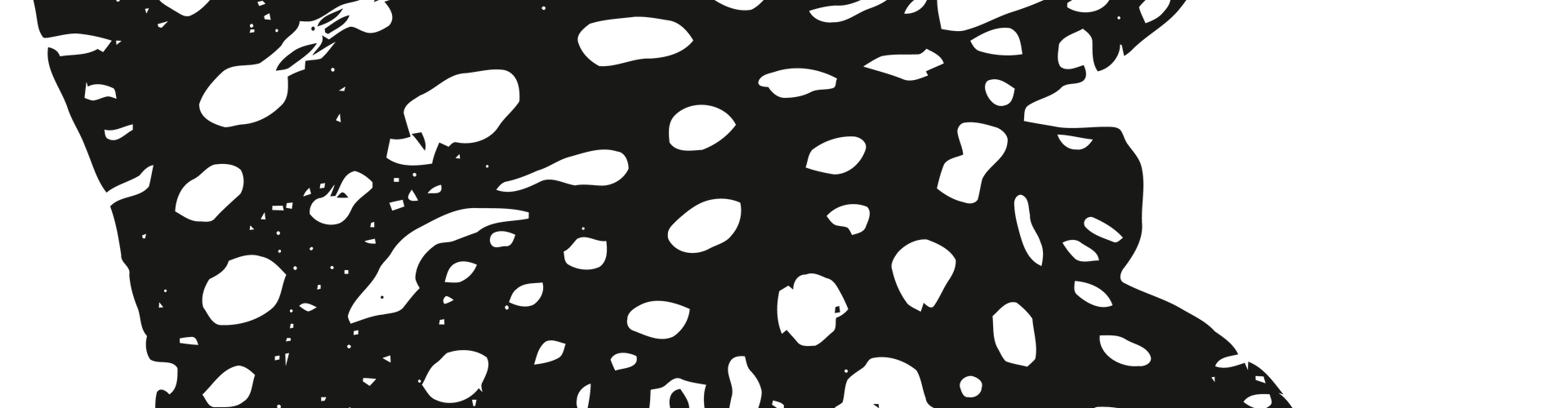 Coral Princess Hotel & Dive Resort - Cozumel - Spotted Eagle Rays in Cozumel: Season, Migration & Diving Coral Princess Hotel & Dive Resort - Cozumel - Spotted Eagle Rays in Cozumel: Season, Migration & Diving