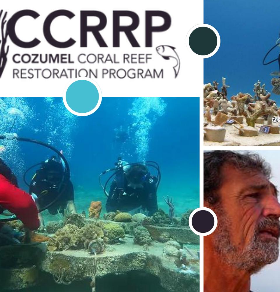 Coral Reef Restoration Fund: Make a Difference Coral Princess Hotel & Dive Resort  Cozumel Coral Reef Restoration Fund: Make a Difference Coral Princess Hotel & Dive Resort  Cozumel