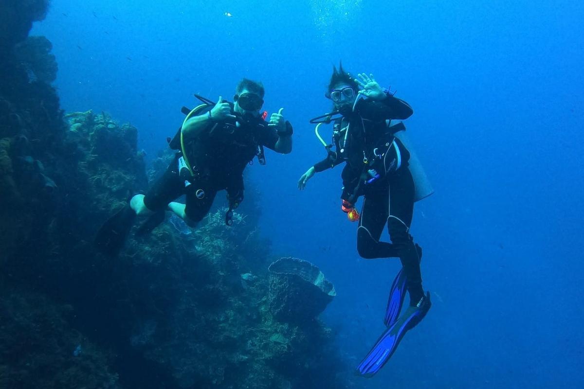 Buceo: explora las profundidades Coral Princess Hotel & Dive Resort Cozumel Buceo: explora las profundidades Coral Princess Hotel & Dive Resort Cozumel