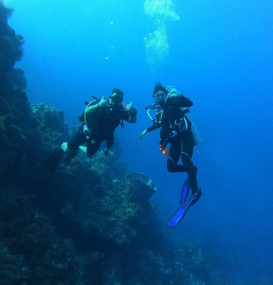 Scuba Diving: Explore the Depths of Wonder Coral Princess Hotel & Dive Resort  Cozumel Scuba Diving: Explore the Depths of Wonder Coral Princess Hotel & Dive Resort  Cozumel