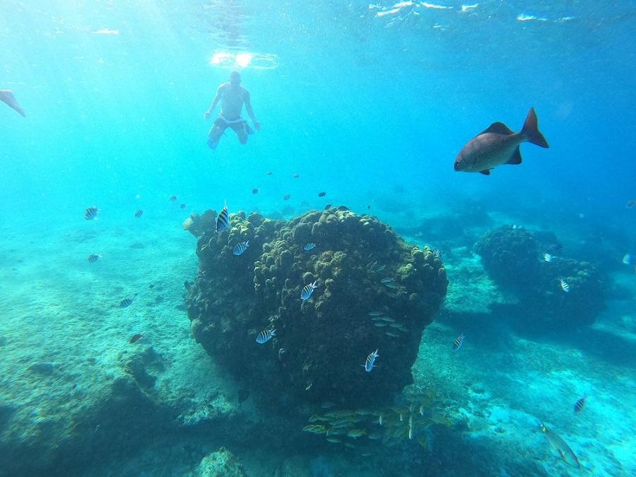 Snorkel con Bavarian Fiesta: Un toque de diversión Coral Princess Hotel & Dive Resort Cozumel Snorkel con Bavarian Fiesta: Un toque de diversión Coral Princess Hotel & Dive Resort Cozumel